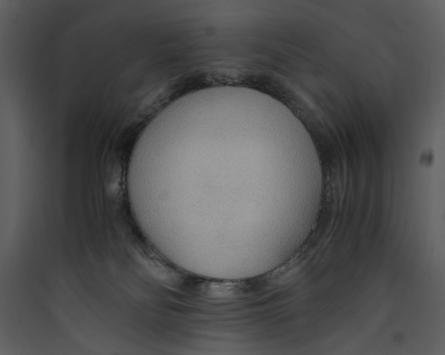 X0000089370134200707131645