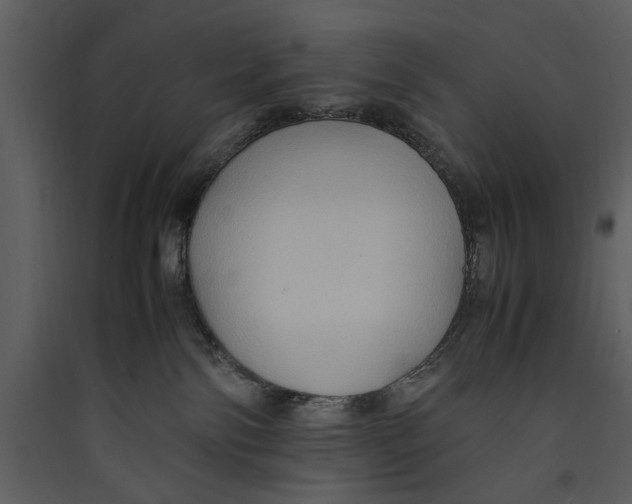 X0000089370138200707131645