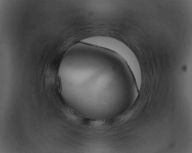 X0000089370139200707131645