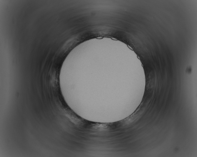 X0000089370140200707131645