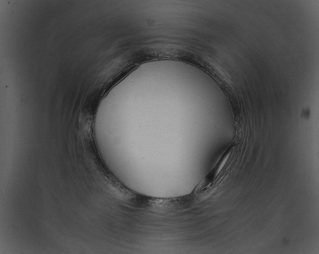 X0000089370141200707131645