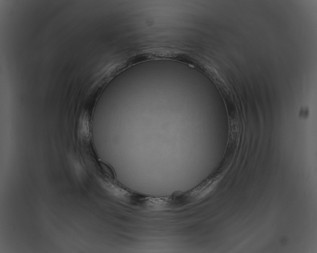 X0000089370143200707131645