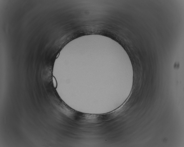 X0000089370144200707131645