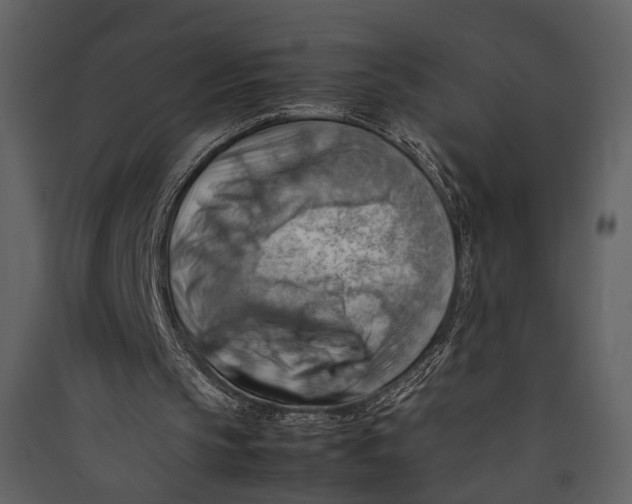 X0000089370145200707131644