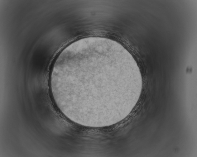 X0000089370146200707131644