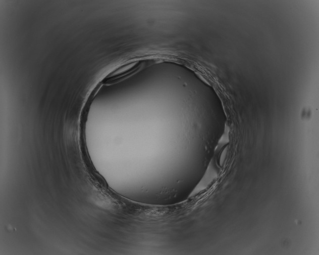 X0000089370148200707131644