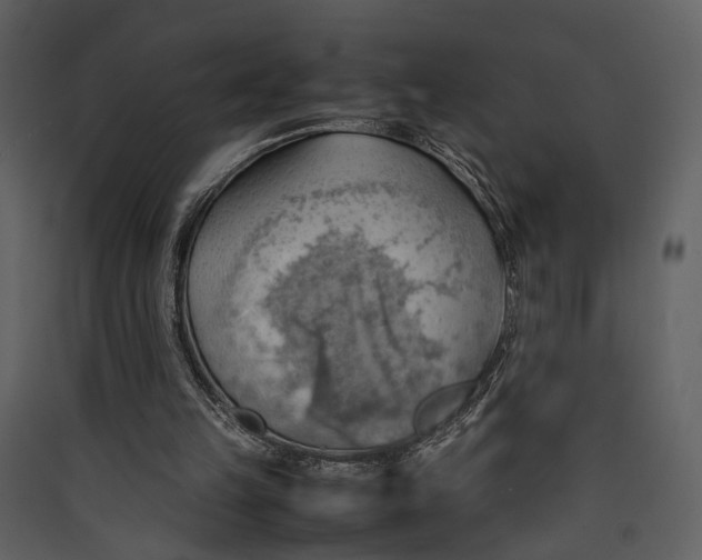 X0000089370149200707131644