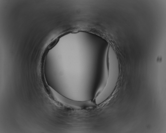 X0000089370150200707131644