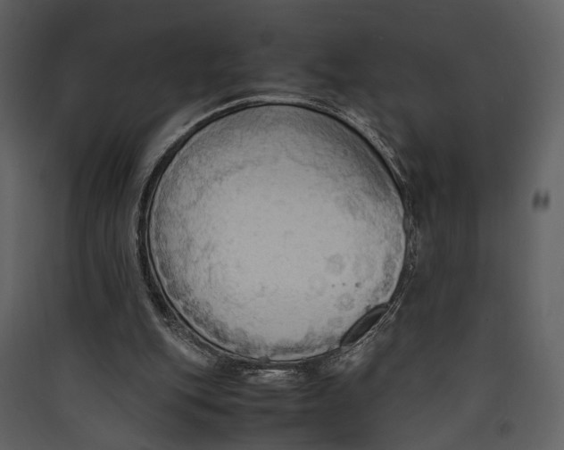 X0000089370151200707131644