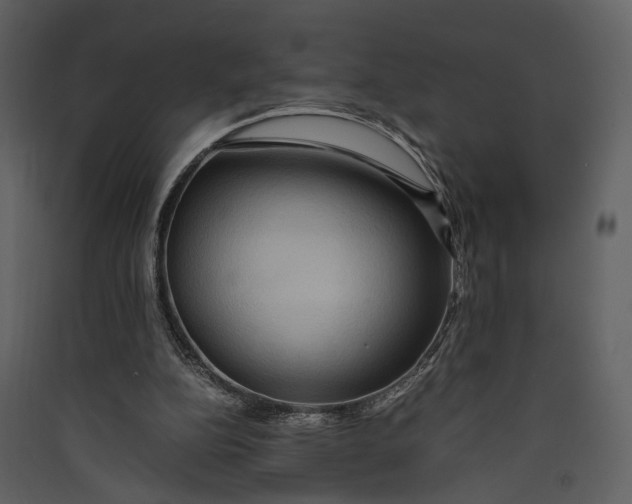 X0000089370152200707131644