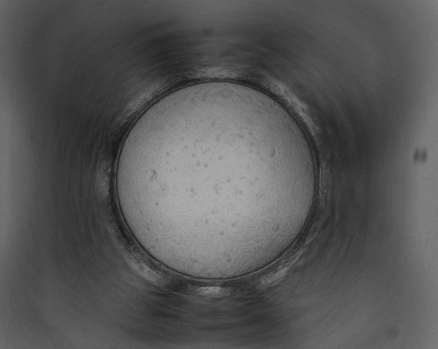 X0000089370153200707131644