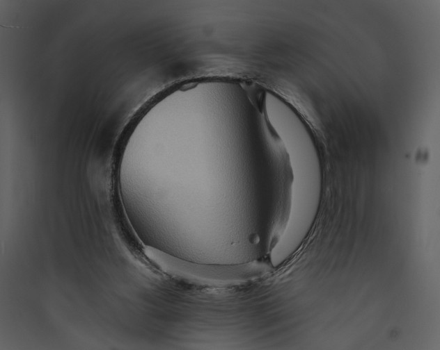 X0000089370156200707131644