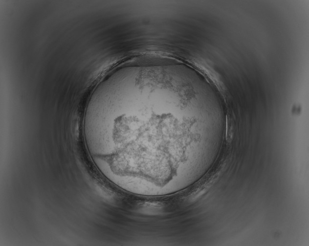 X0000089370157200707131644