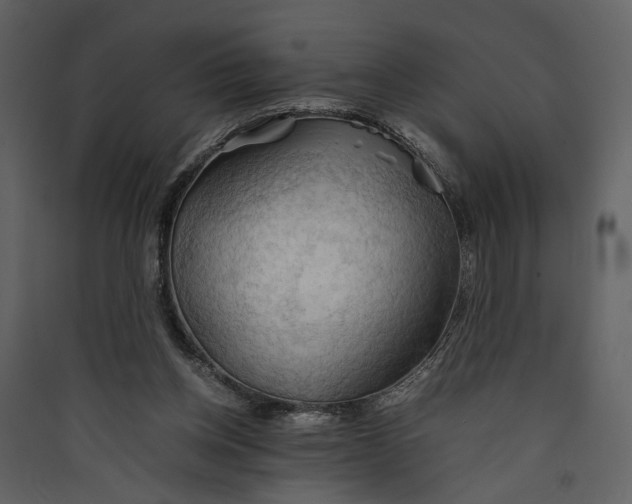 X0000089370158200707131644