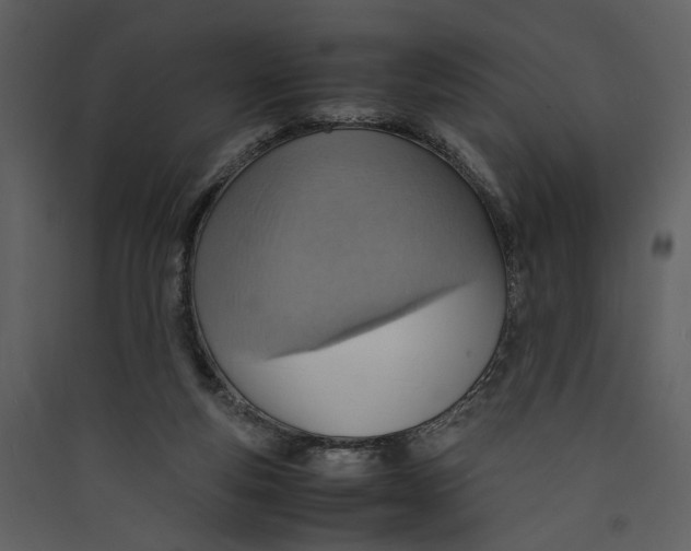 X0000089370163200707131644