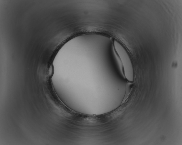 X0000089370164200707131644