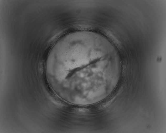 X0000089370165200707131644