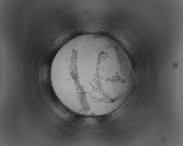 X0000089370166200707131644