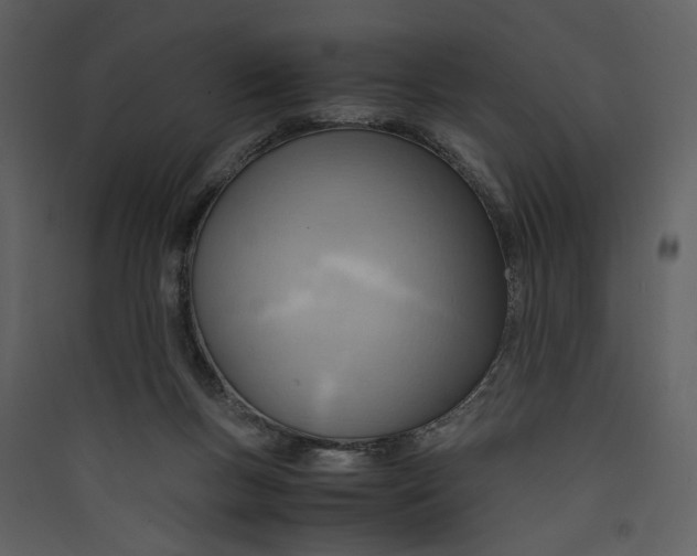 X0000089370167200707131644