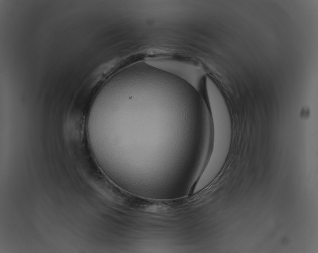 X0000089370168200707131644