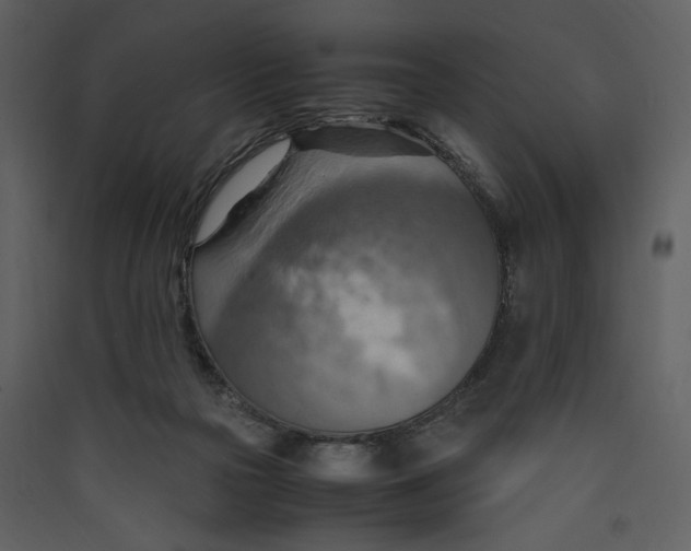 X0000089370169200707131644