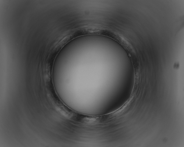 X0000089370170200707131644