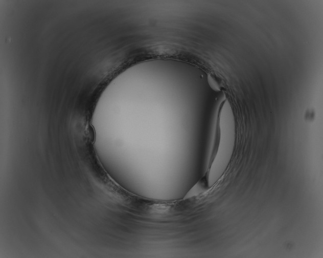 X0000089370176200707131644