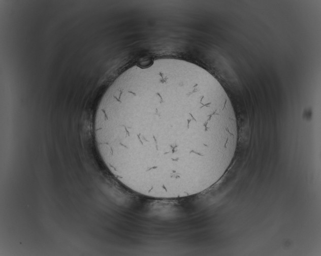 X0000089370179200707131644