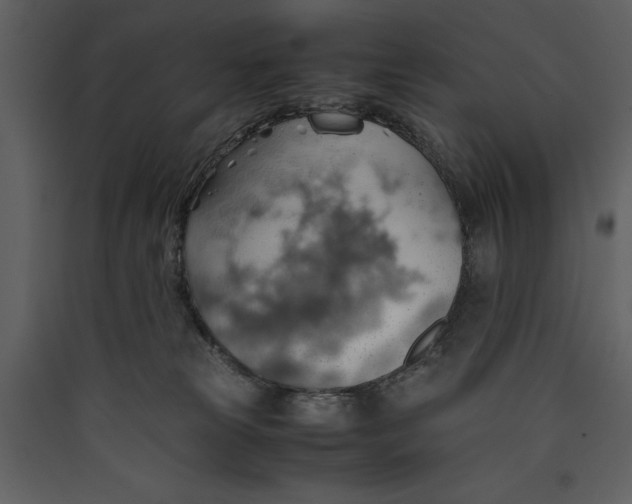 X0000089370181200707131645