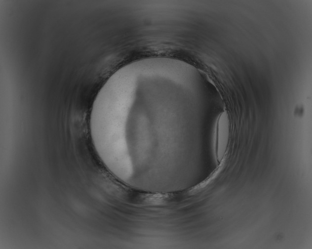 X0000089370182200707131645