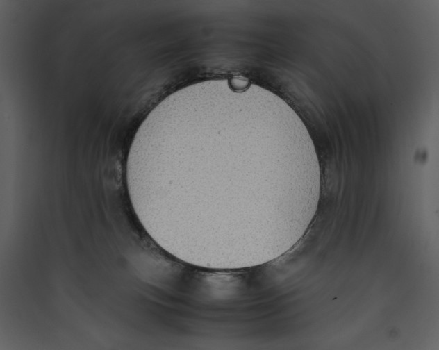 X0000089370183200707131645