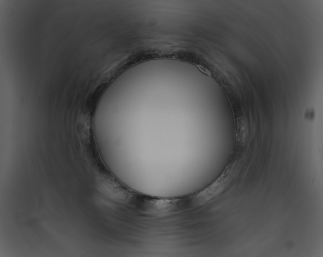 X0000089370184200707131645