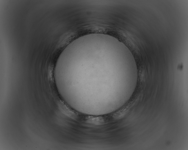 X0000089370185200707131645