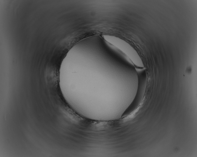 X0000089370186200707131645