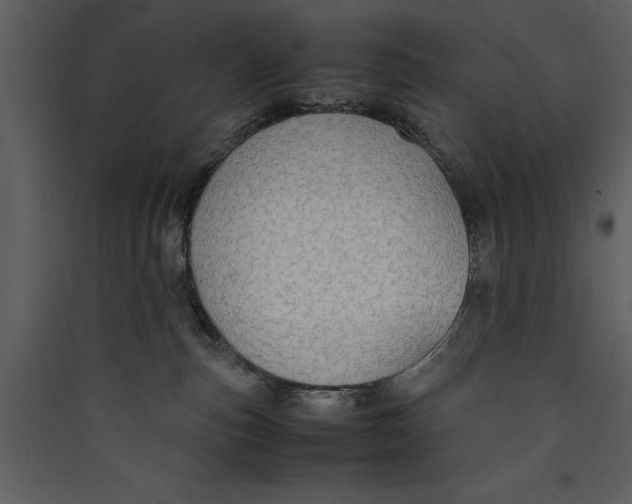 X0000089370187200707131645