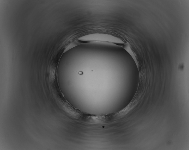 X0000089370188200707131645