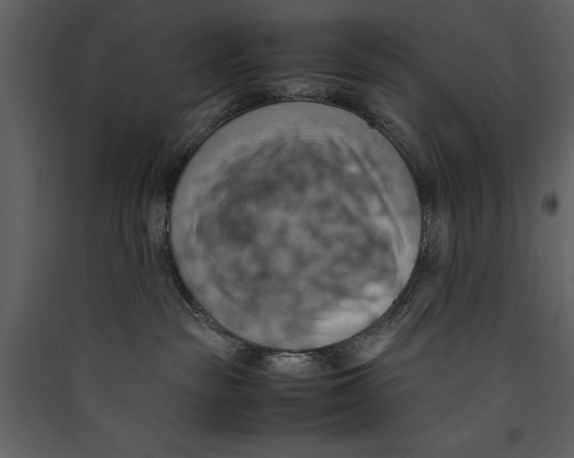 X0000089370189200707131645