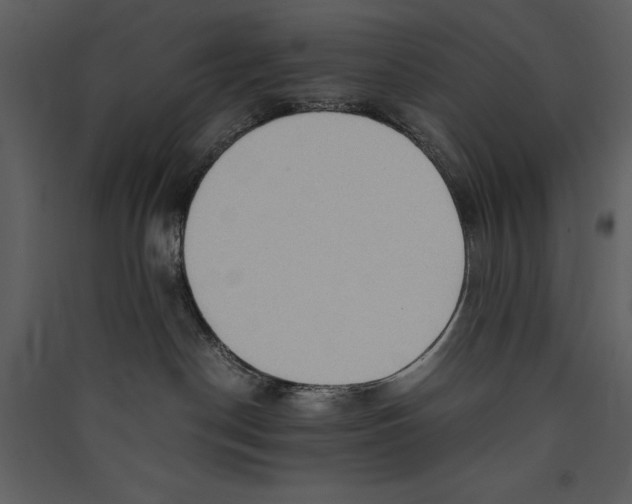 X0000089370190200707131645