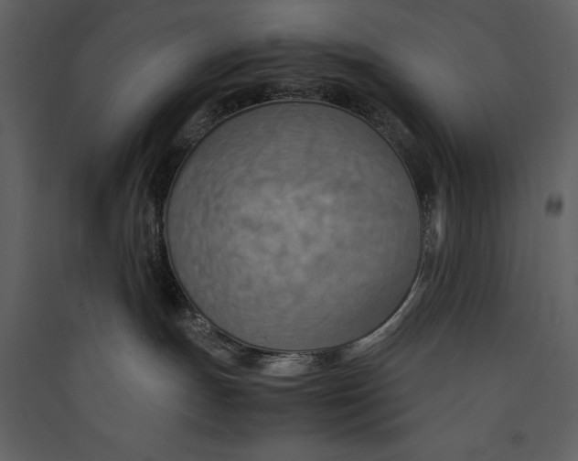 X0000089370191200707131645