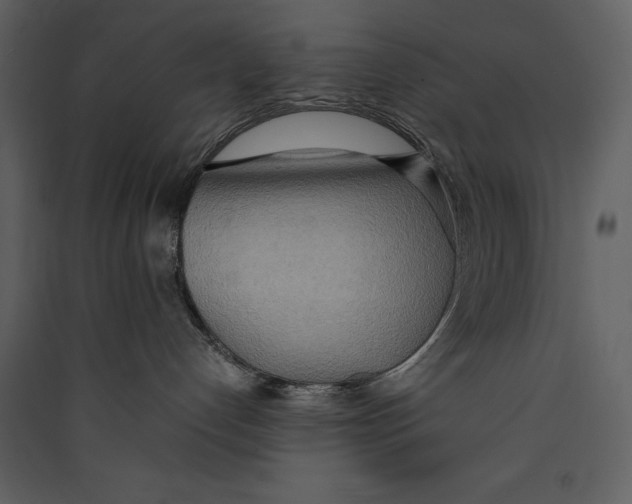 X0000089370192200707131645