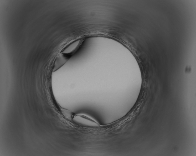 X0000089370193200707131644