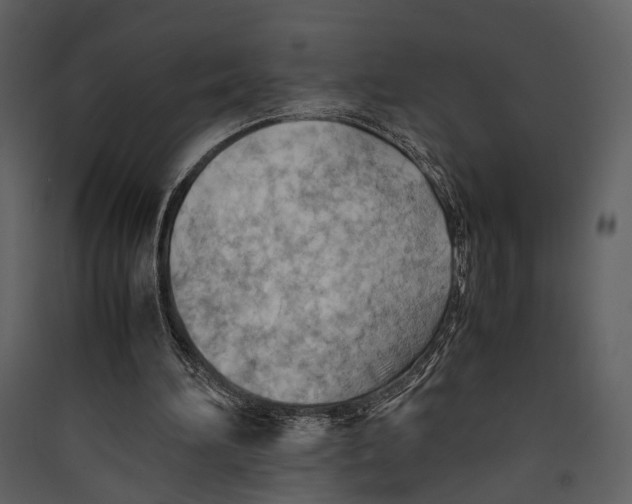 X0000089370196200707131644