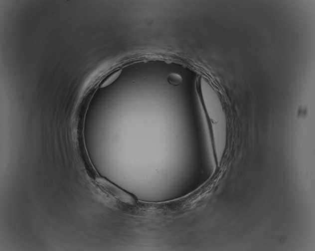 X0000089370197200707131644