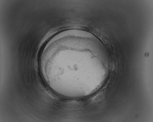 X0000089370198200707131644