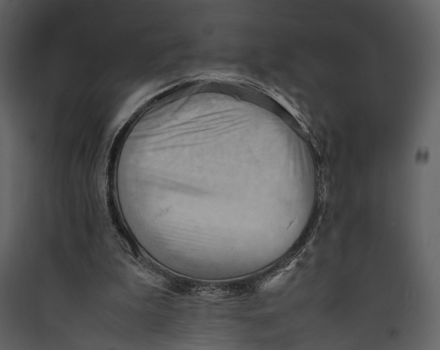 X0000089370199200707131644