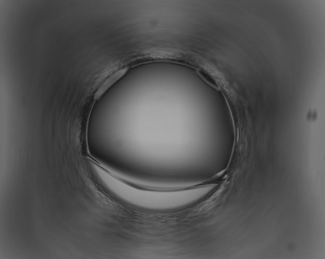 X0000089370201200707131644