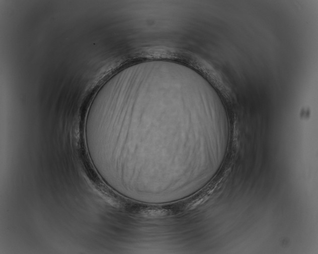 X0000089370202200707131644