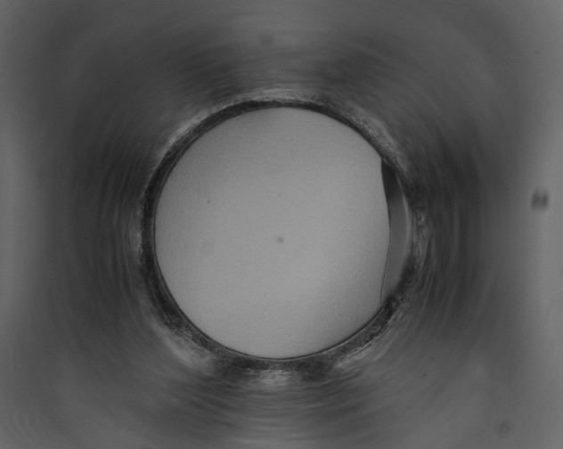 X0000089370204200707131644