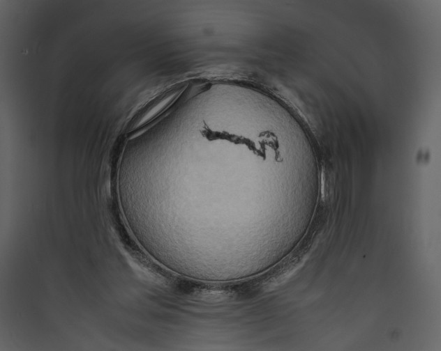 X0000089370205200707131644