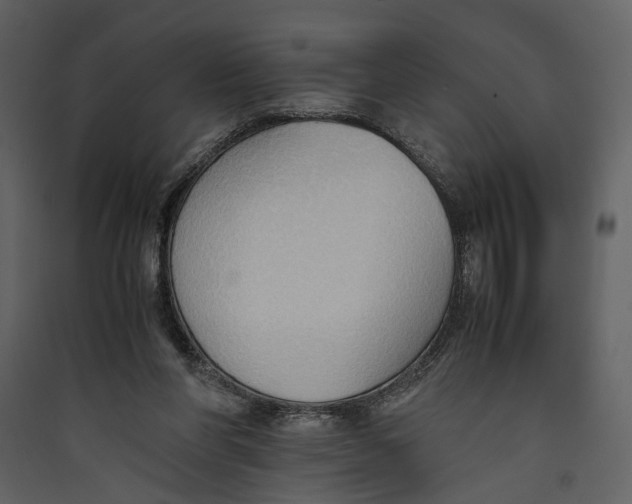 X0000089370206200707131644